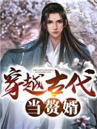 穿越古代当赘婿海报