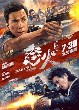 怒火·重案国语海报