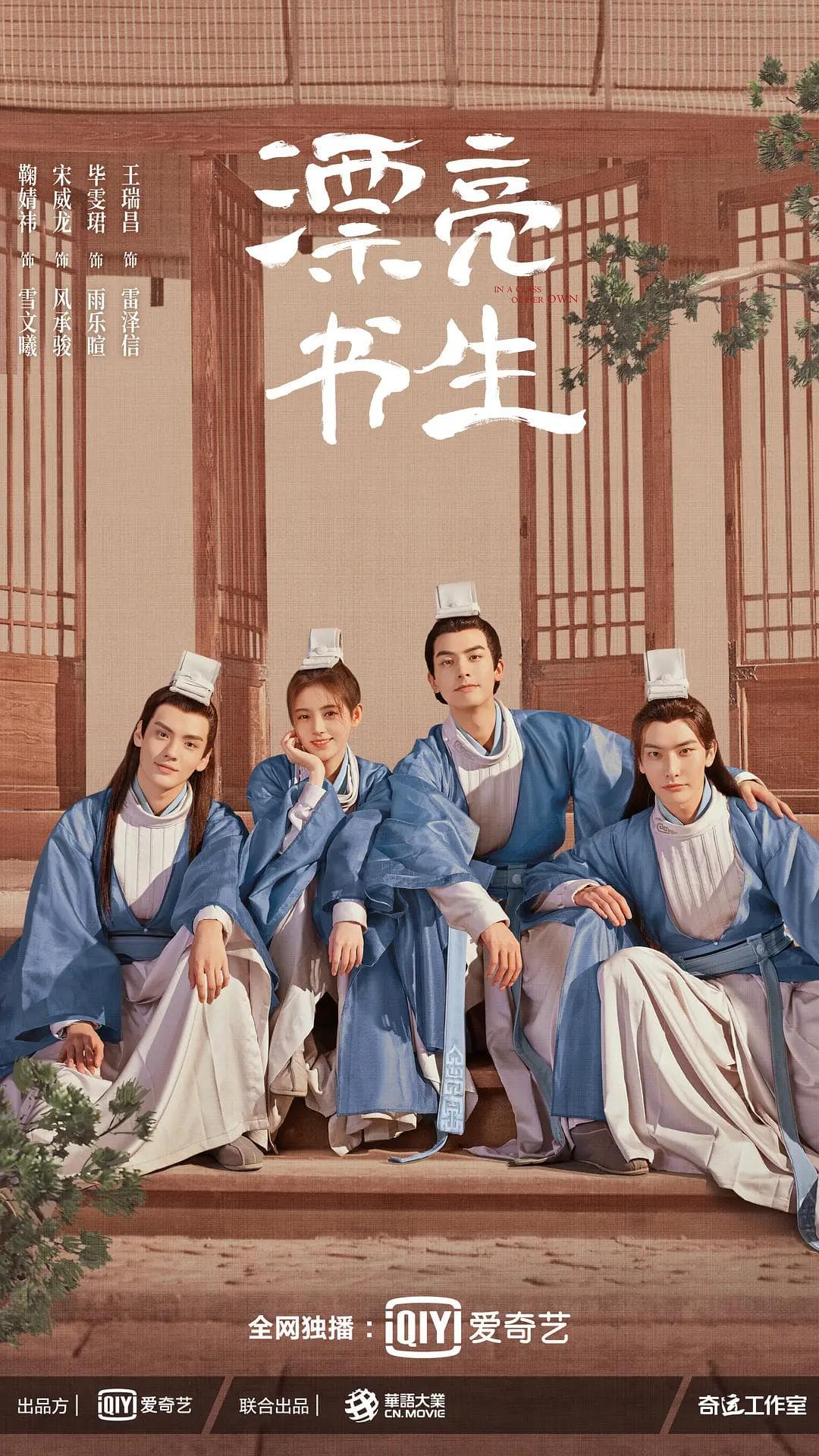 漂亮书生海报