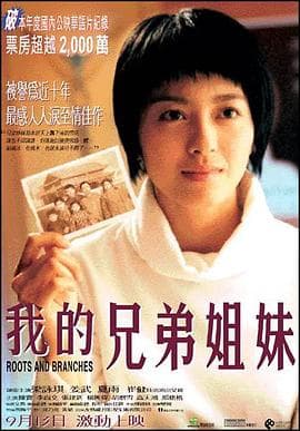 我的兄弟姐妹2001海报