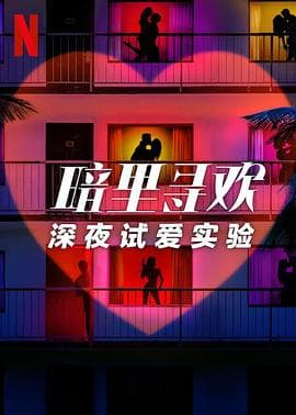 暗里寻欢：深夜试爱实验海报